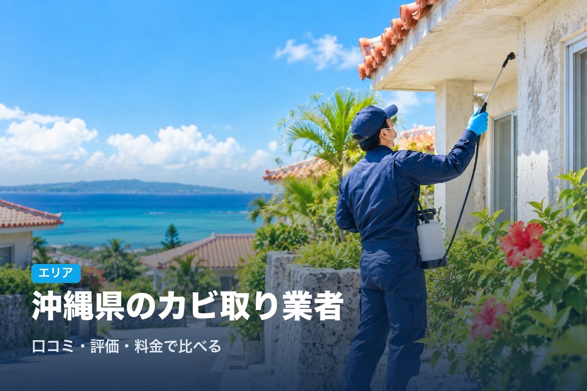 沖縄県のカビ取り業者